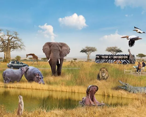 Dağ evi Tinylodge With Hottub *