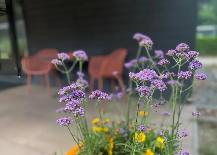 Tinylodge With Hottub *