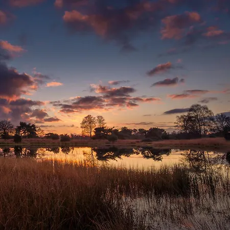 Tinylodge With Hottub * Diessen