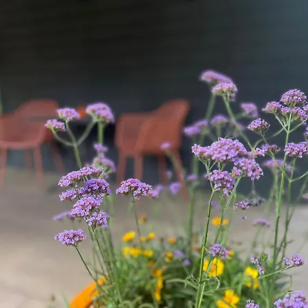 Tinylodge With Hottub *