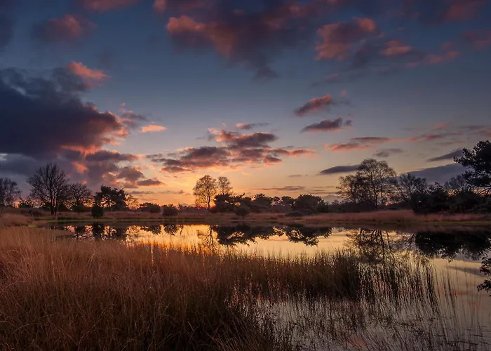 Tinylodge With Hottub * Diessen